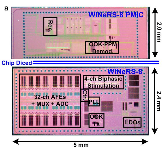Wireless neural interface prototype