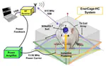 An Inductively Powered Wireless Neural Recording System With a Charge Sampling Analog Front-End