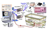 A Software-Defined Radio Receiver for Wireless Recording From Freely Behaving Animals